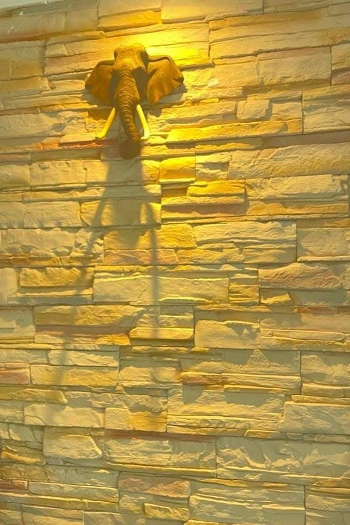 كامالا فيلا هيل شاطئ كامالا المظهر الخارجي الصورة
